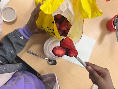 Building Healthy Eating Habits in Child Care